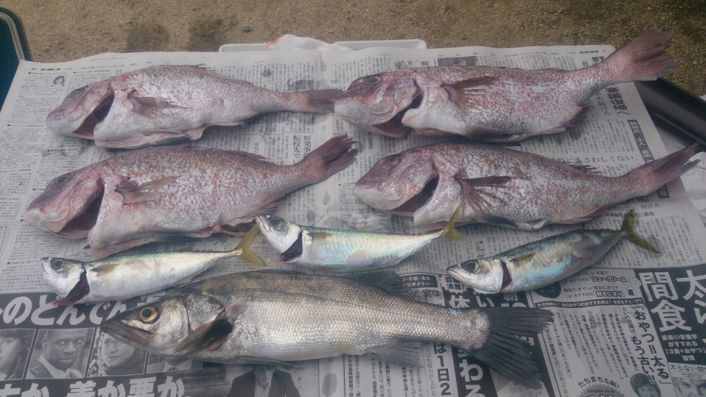 釣り堀へ行った時の写真⑥